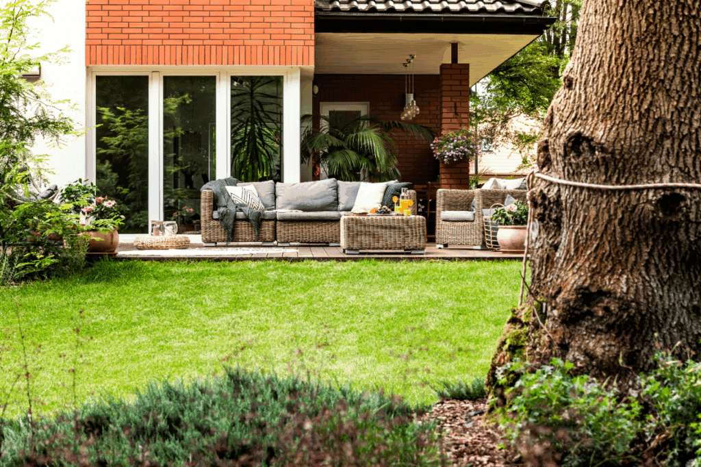 Espace vert et jardin